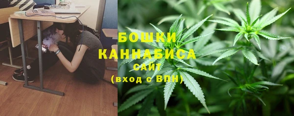крисы Протвино