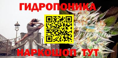 героин Кингисепп