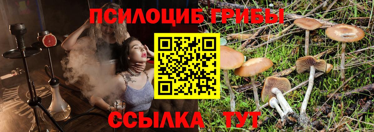 Псилоцибиновые грибы Magic Shrooms Зеленогорск